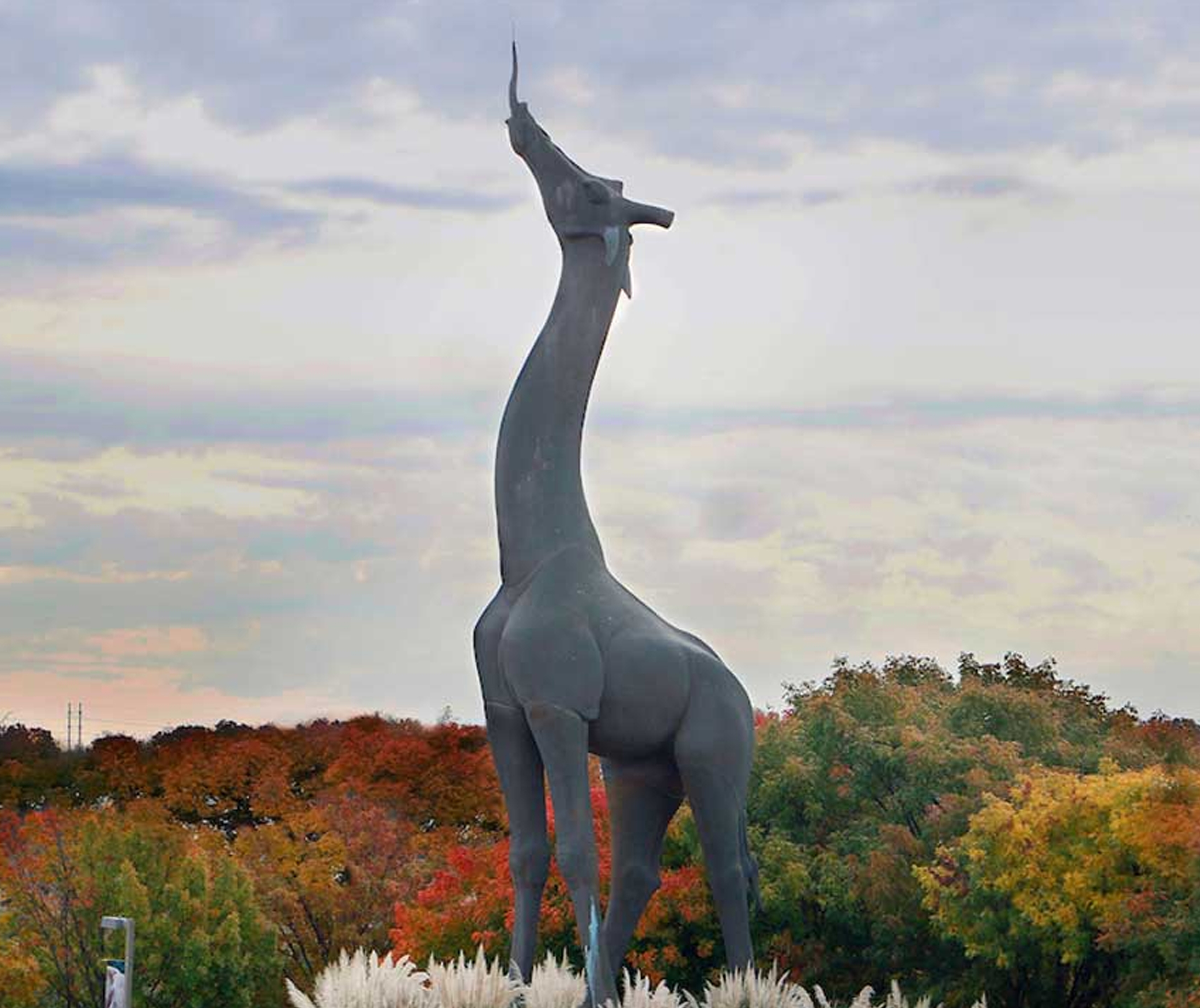 Dallas Zoo