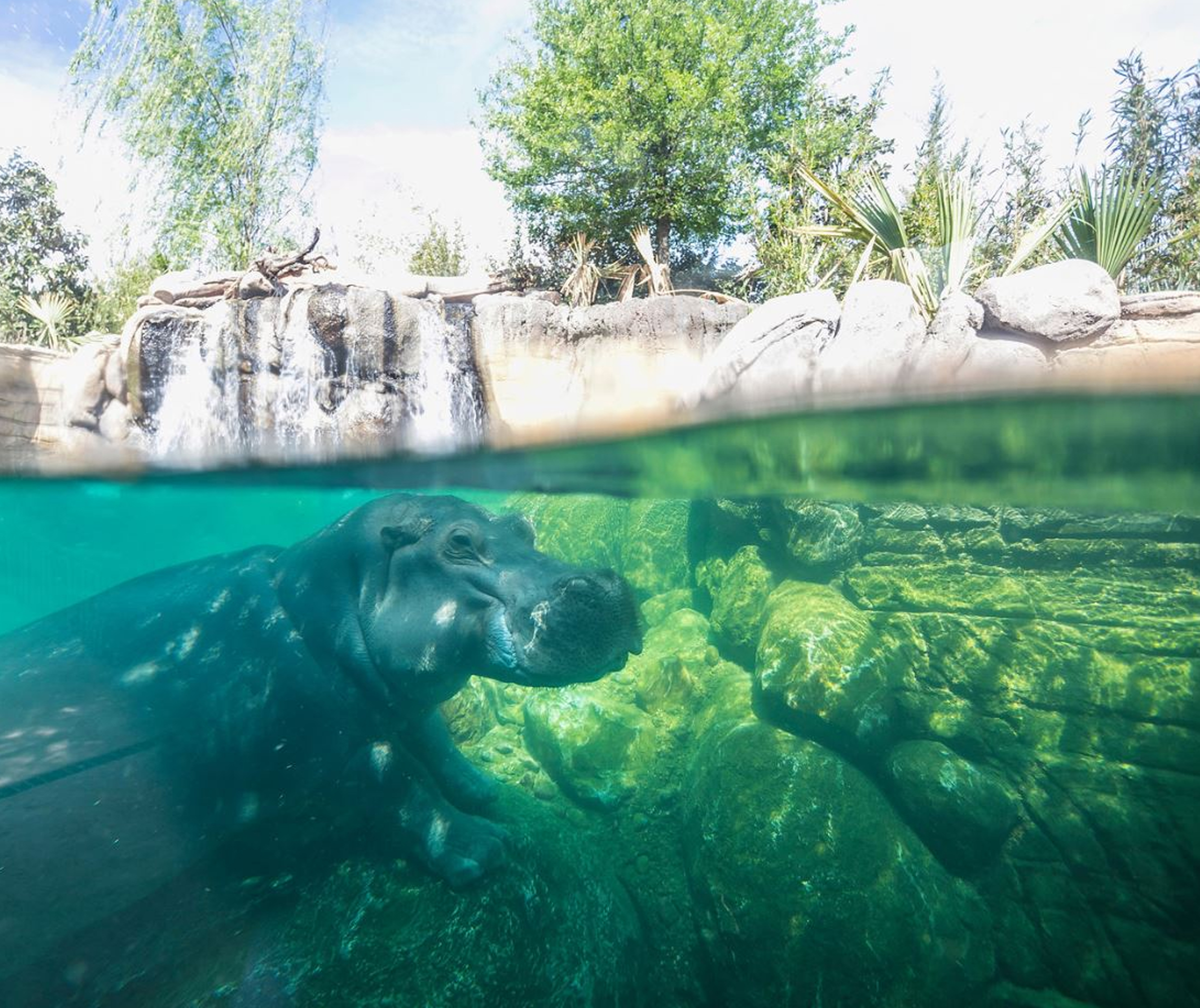 Fort Worth Zoo