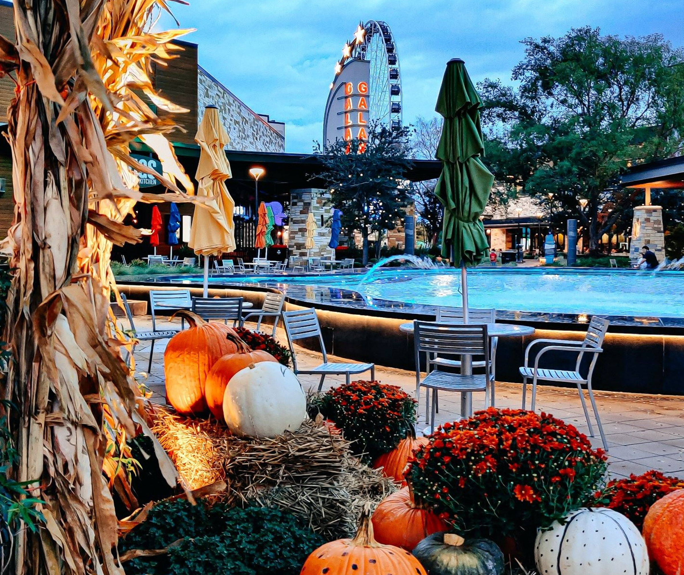 Hampton Inn & Suites Dallas-The Colony, TX